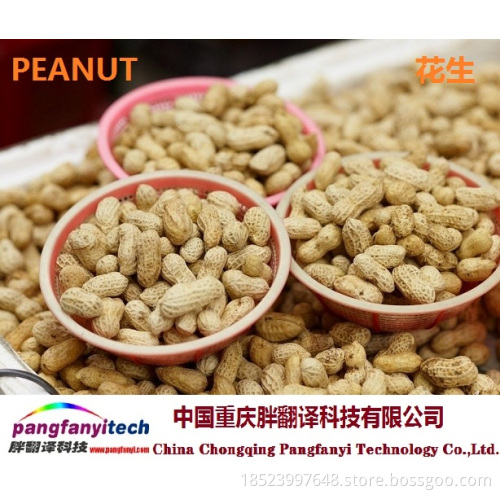 Natural Nutritional Self-produced Tasty Aromatic Peanut